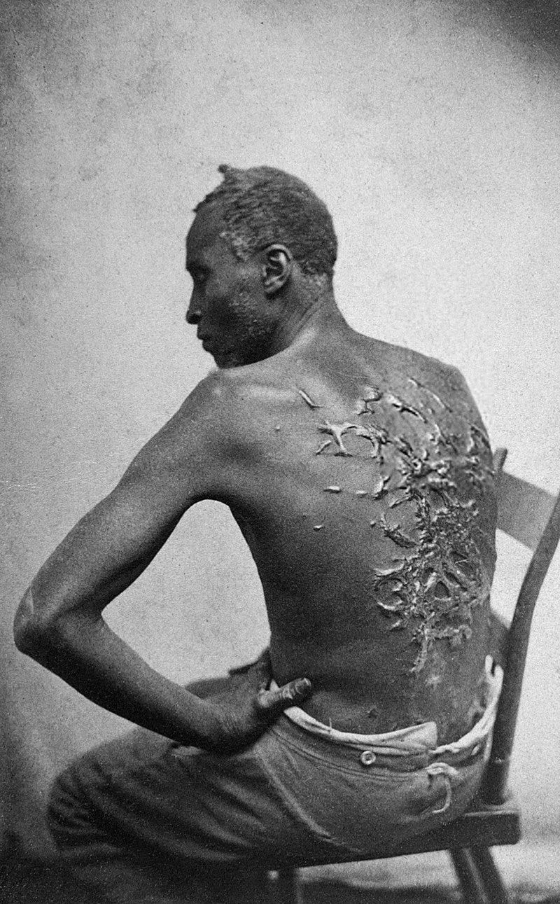 800px x 1291px - Why Is the Truth of American Slavery Still in Chains? | by Krishna V  Chaudhary | Lessons from History | Medium