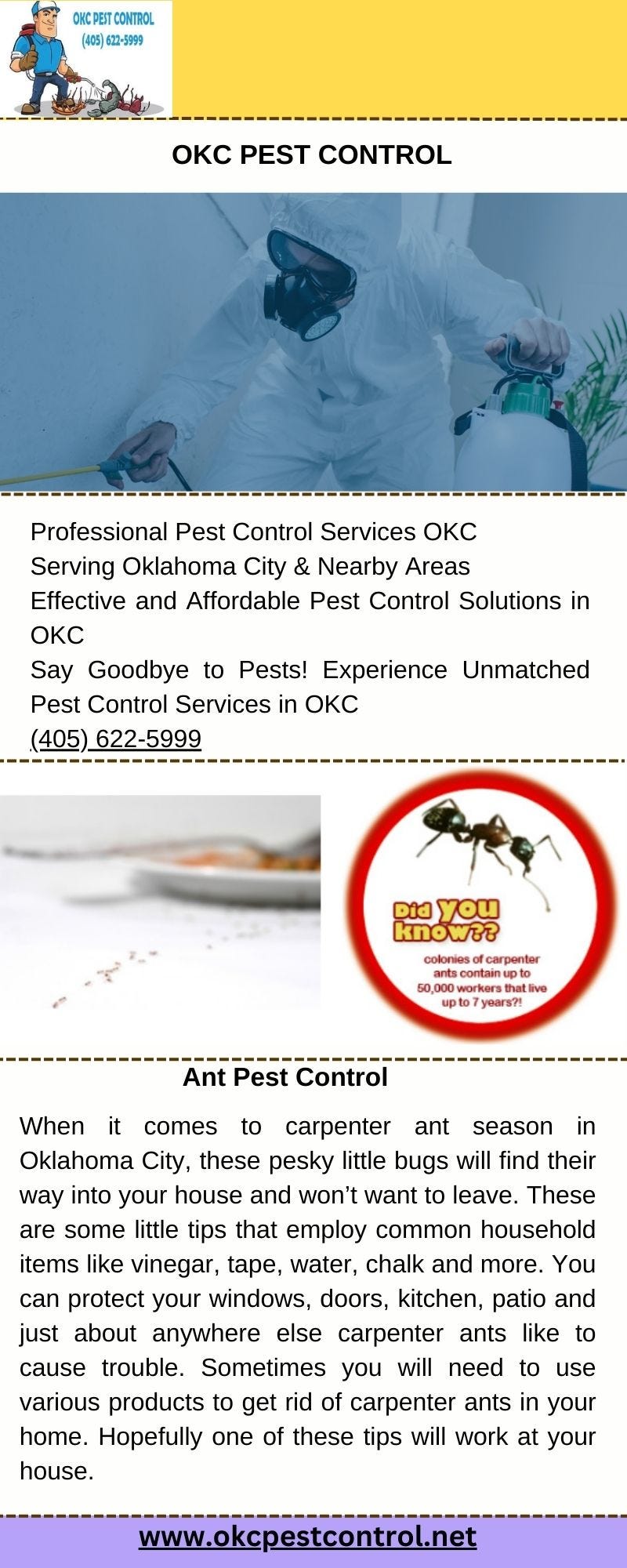 Fleas Control OKC — OKC Pest Control Okcpestcontrol Medium
