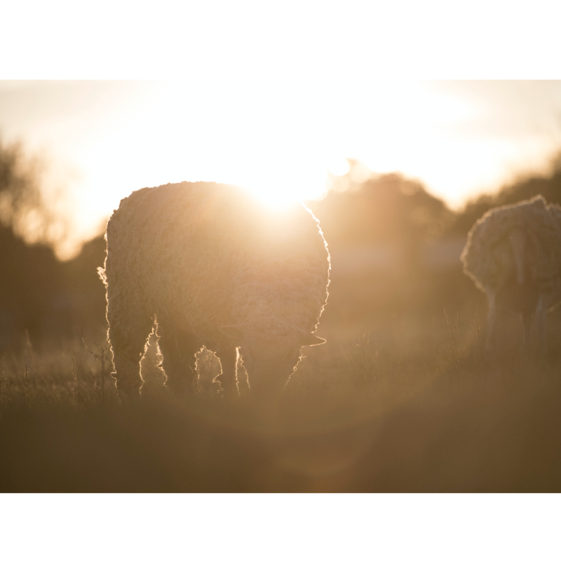 short summary of “Pride and Prejudice” by Realmoffocus Jun, 2023