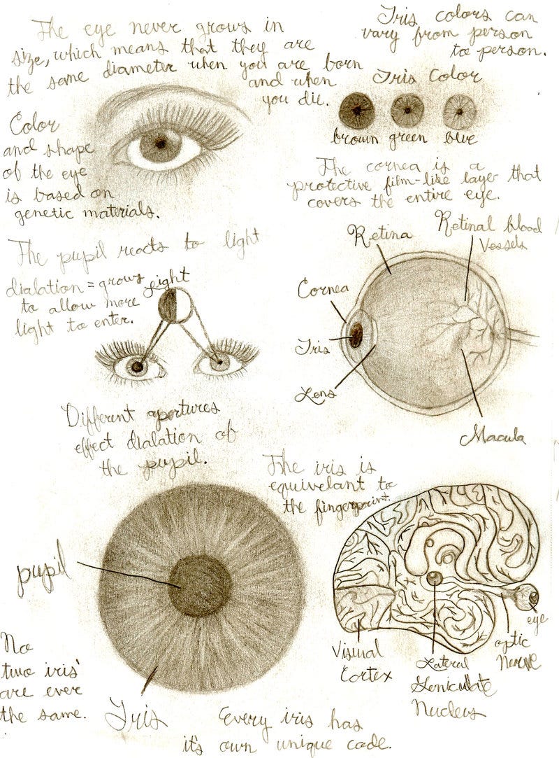 Projection vs. Perception. What We Don’t See vs. What We Do See by