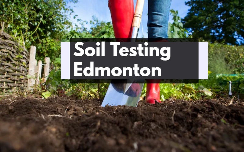 The Importance of Soil Testing Edmonton by Security Guard Services