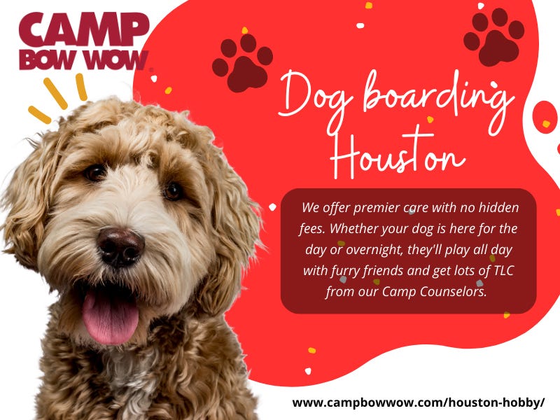 Dog Boarding Houston. Elevate Your Dog’s Stay Discover What… by Camp Bow Wow Houston Hobby