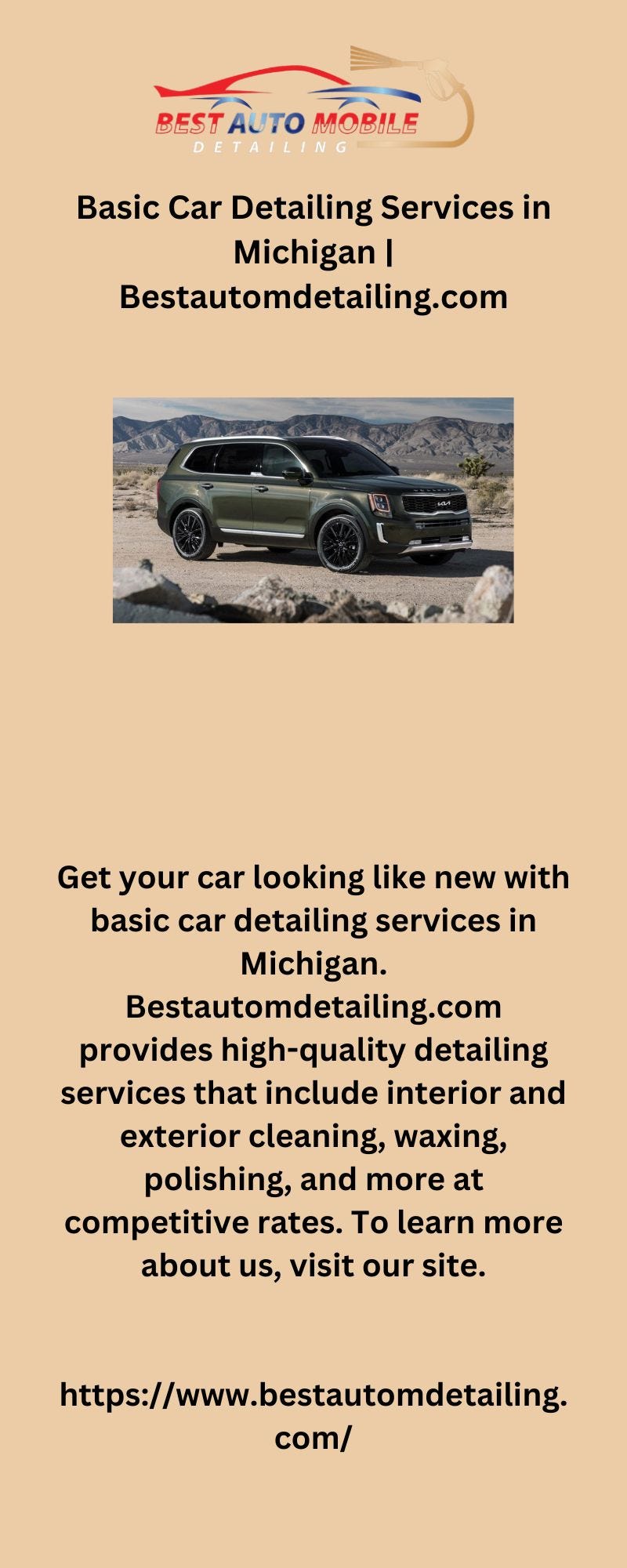 Basic Car Detailing Services in Michigan