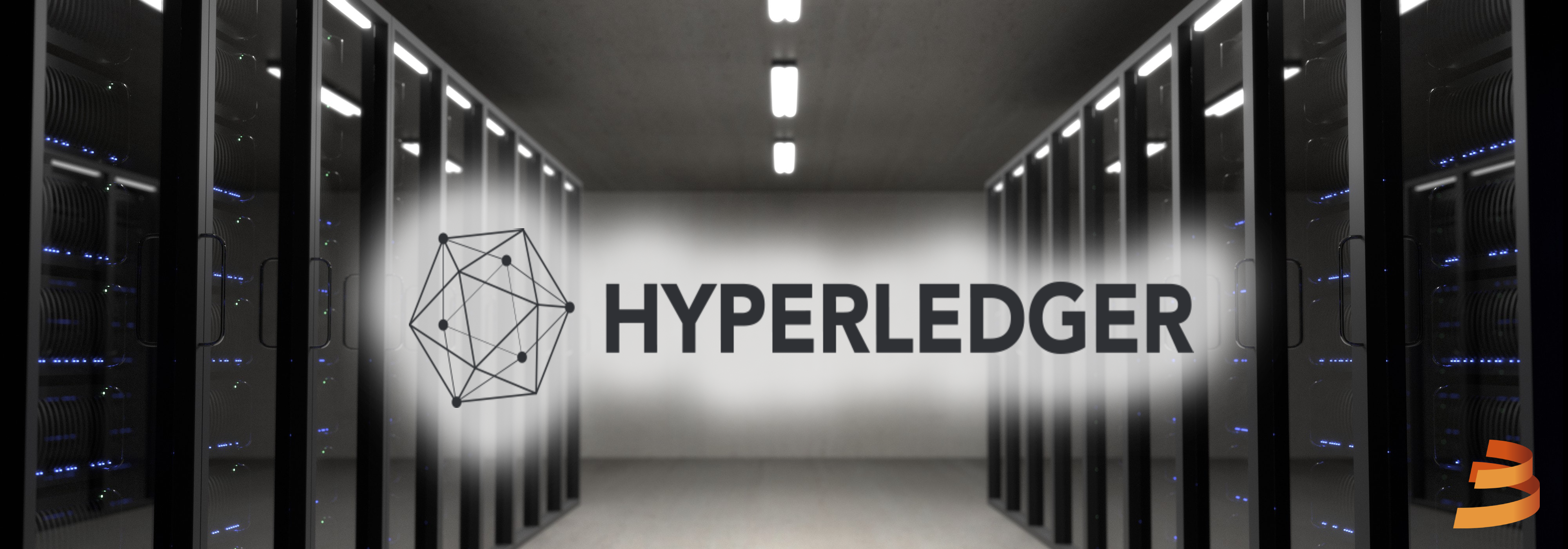 Hyperledger Fabric - ¿Qué es Hyperledger? en Español | by Victor Muñoz  Reyes | Babel — go2chain | Medium
