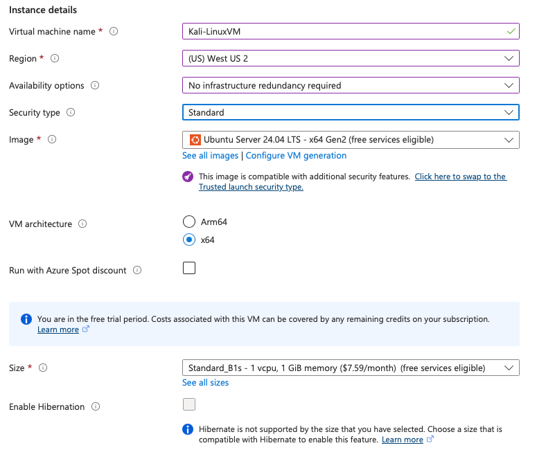 Instance details