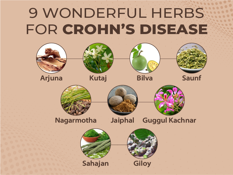 9 Wonderful Herbs For Crohn’s Disease by Aditya sawale Medium
