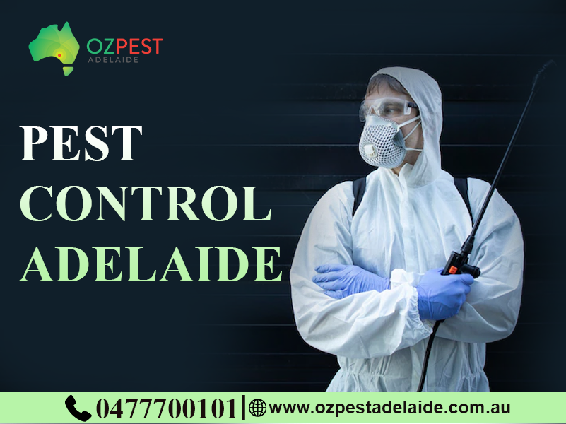 Know What Are The 3 Types Of Pest Control by OZ Pest Adelaide Medium