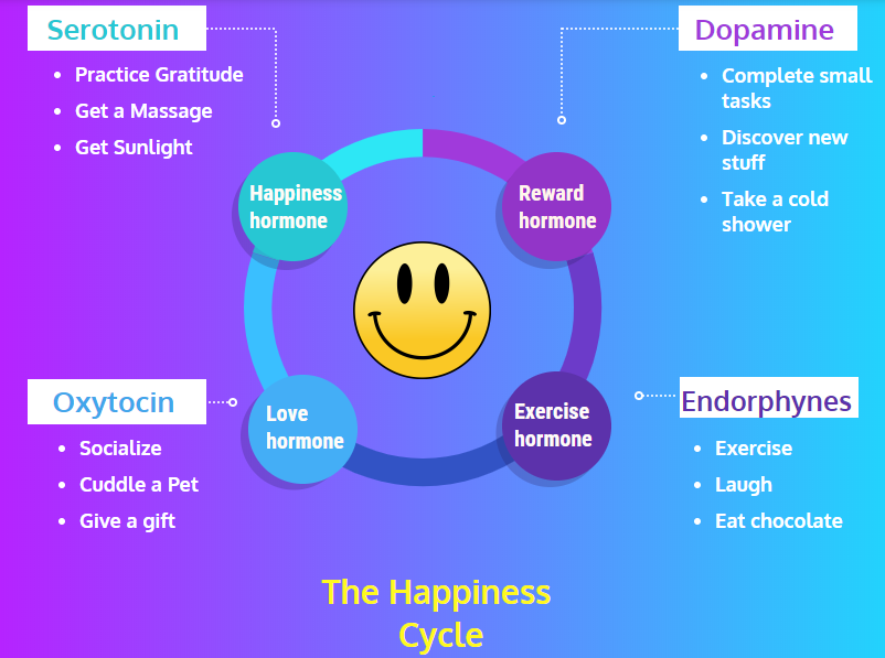 Four Happy Hormones