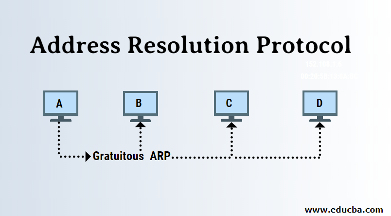 What is ARP? | Address Resolution Protocol (ARP) — ExploitByte