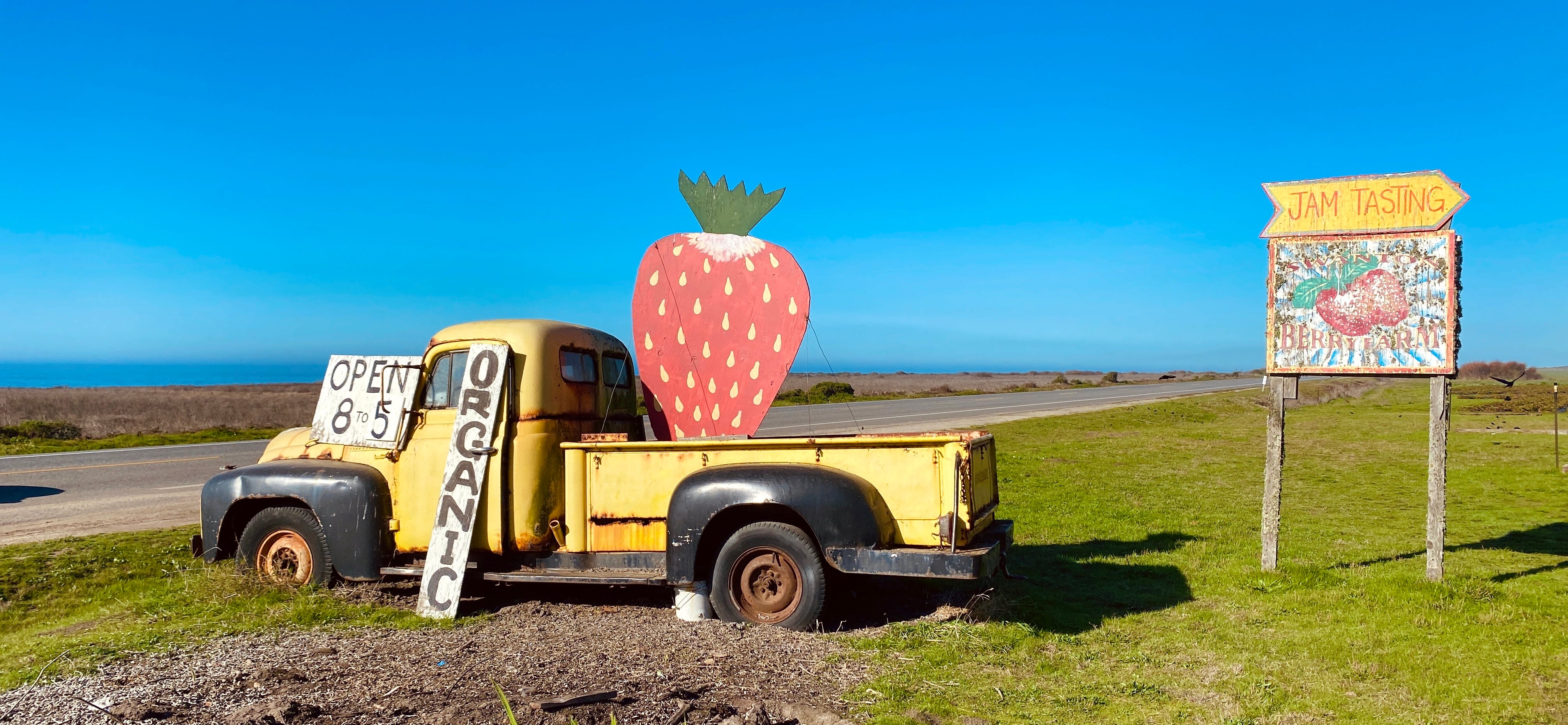 U-Pick Your Own Adventure. A delicious Bay Area berry picking