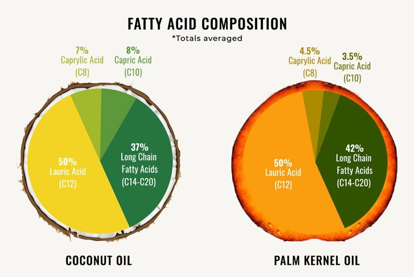 MCT palm vs coconut. One important question that many… | by JOYWIN Natural  Products | Medium