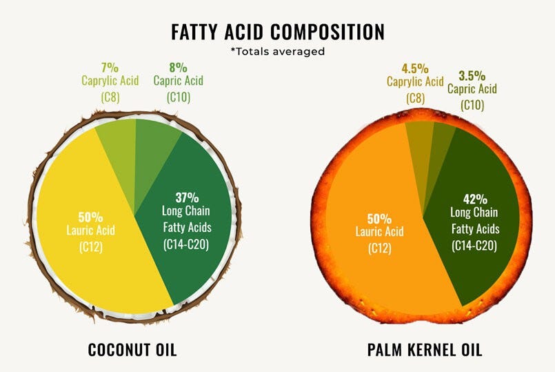 MCT Palm Vs Coconut One Important Question That Many By JOYWIN mct-palm-vs-coconut-one-important-question-that-many-by-joywin
