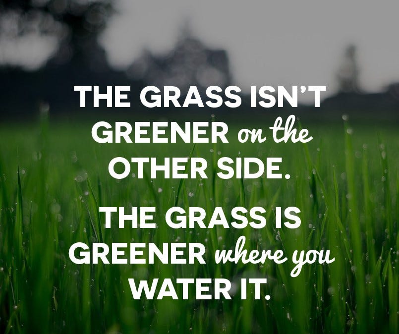 Keeping our grass green to reduce employee turnover and improve ...