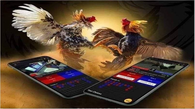 In the realm of online entertainment, JB Casino stands as a ...