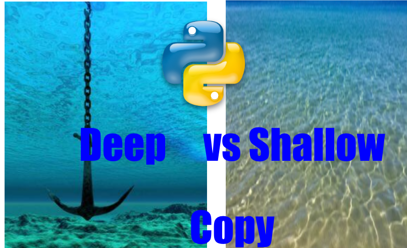 python assignment vs shallow copy