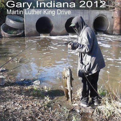 Trout Fishing in America - Gary Borders