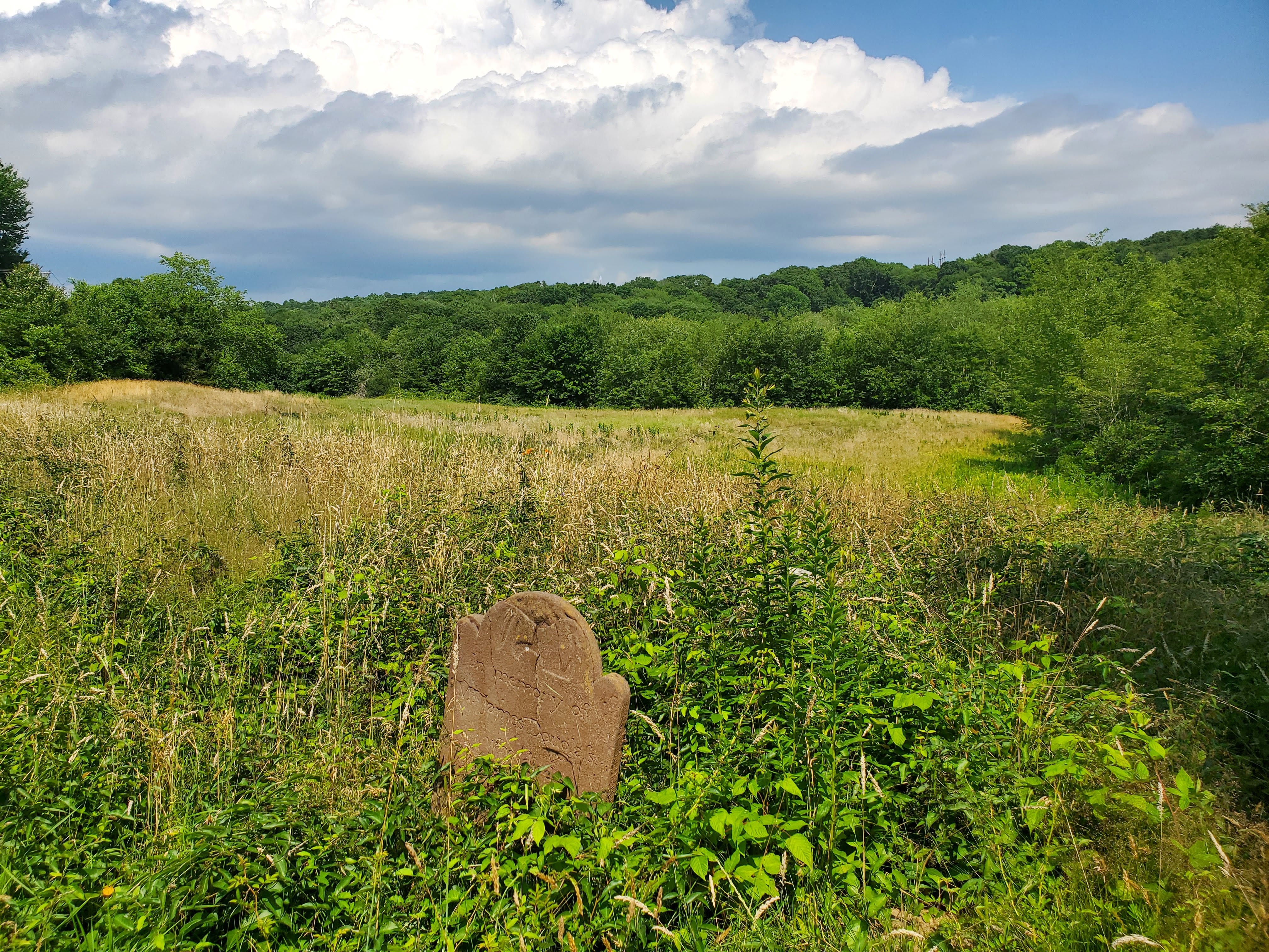 Stenger Farm Park: An oasis of flora, fauna in Waterford