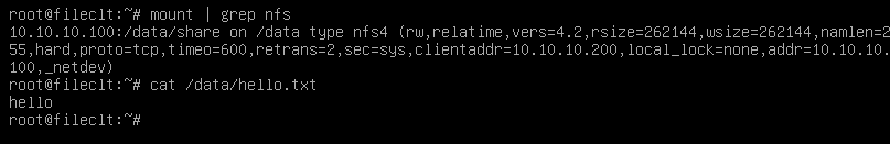 NFS Mount and Connection in the Client Side is still Available