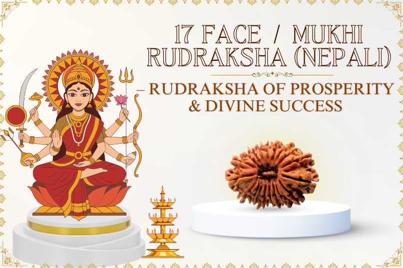 17 Face / Mukhi Rudraksha (Nepali)