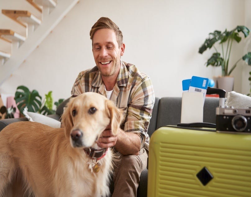Dog Boarding Services and Overnight Care: What to Look For