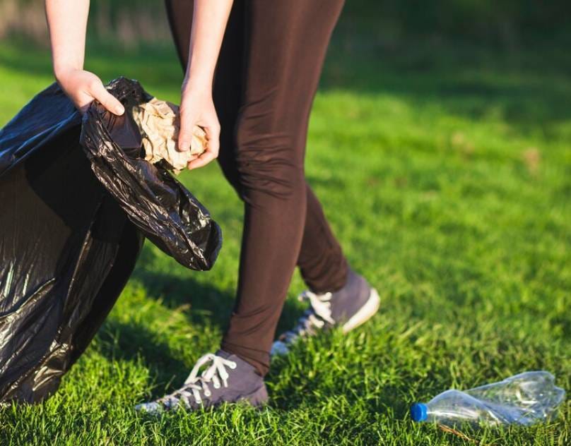 How to Properly Dispose of Pet Waste? Pawpail Medium