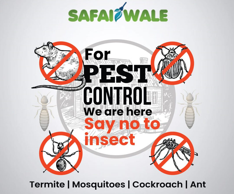 Top 3 Best Pest Control Service in India by Safaiwale Medium