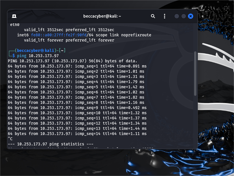 ping test success