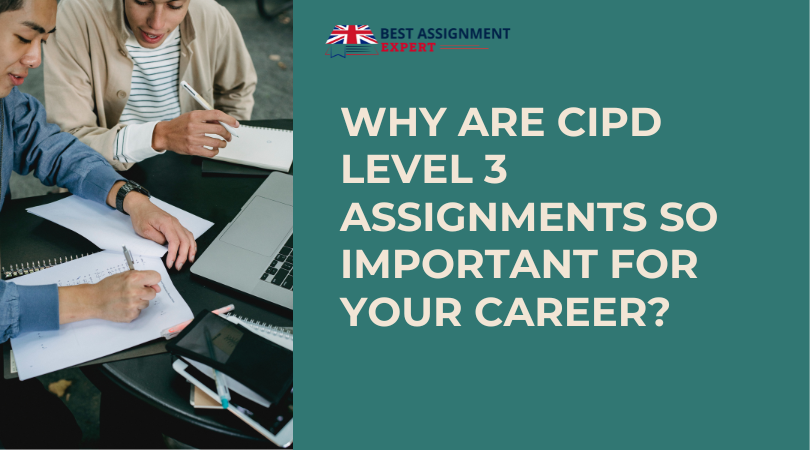 Why are CIPD Level 3 Assignments so Important for Your Career? | by ...
