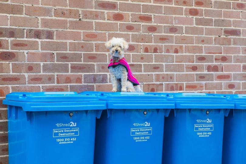 Do you want a secure & fast document destruction service? Browse