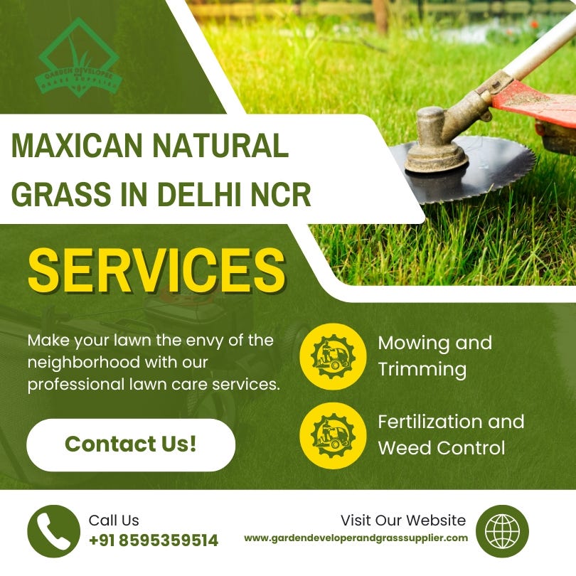 Mexican Natural Grass in Delhi-NCR — Premium Quality Lawn Grass for a Lush Green Garden