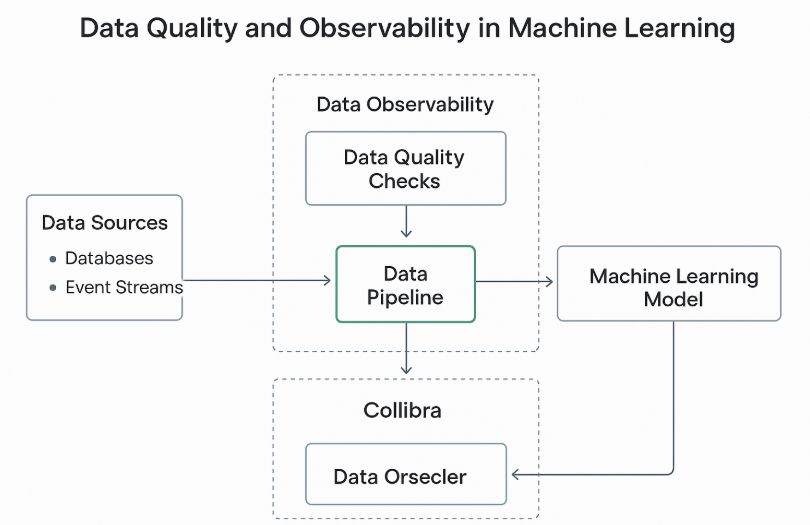 Clearance machine learning data quality checks Outlet
