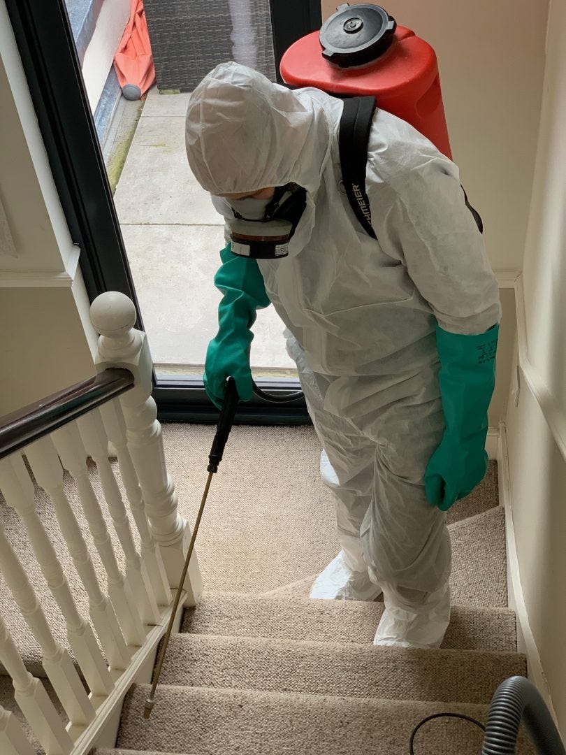 Moth Extermination London Proton Moth Control Medium
