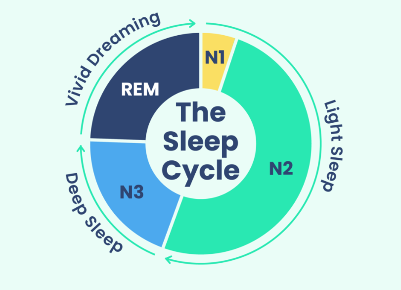 Breaking Down The Sleep Cycle Understanding A Hypnogram By Modulus breaking-down-the-sleep-cycle-understanding-a-hypnogram-by-modulus