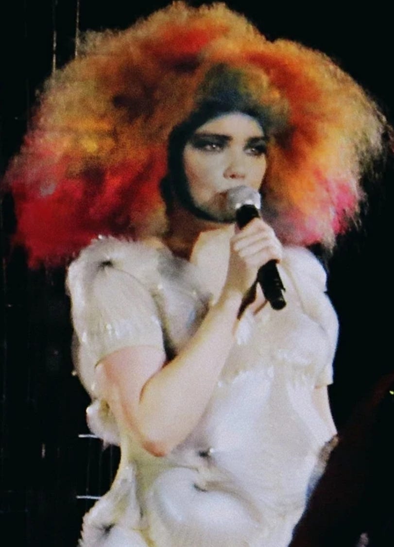 Declare Independence singer Bjork — Photo — Wikipedia