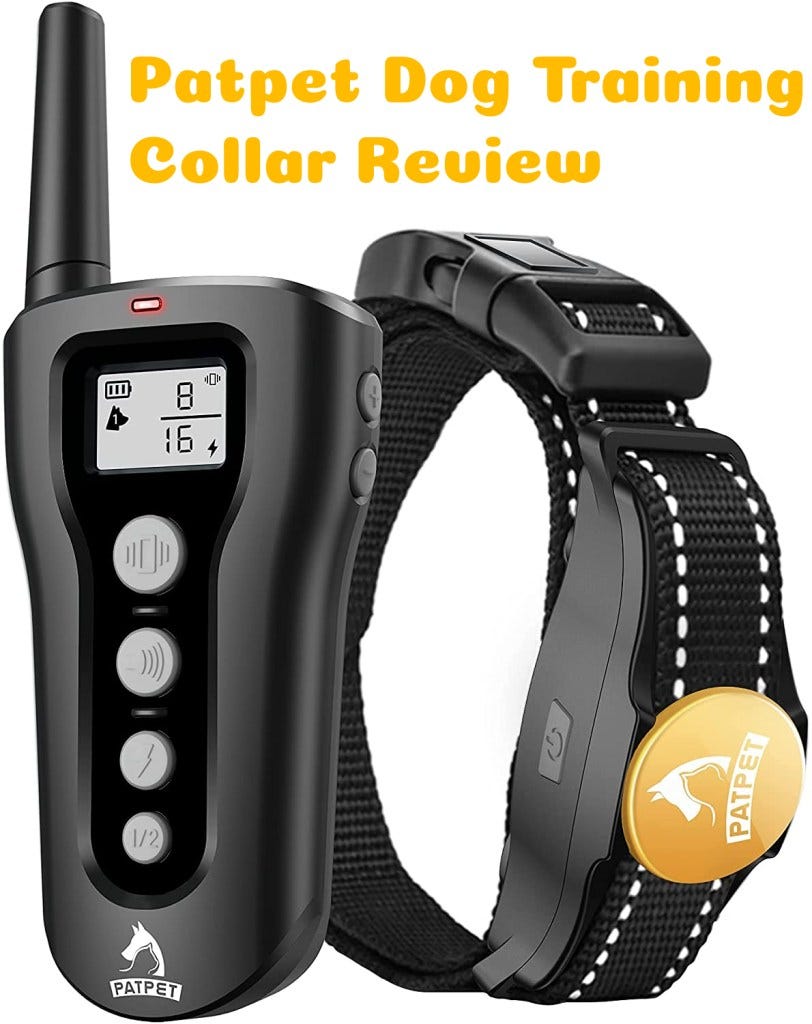 Patpet Dog Training Collar Review Helpful or Harmful? by Intent To