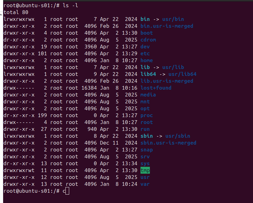 Ubuntu Root Prompt Not Colored? Here’s the Fix (and Why It Happens ...