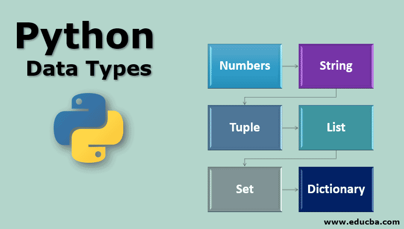 Learning Python Data Types. Python is a popular programming… | by AI ...