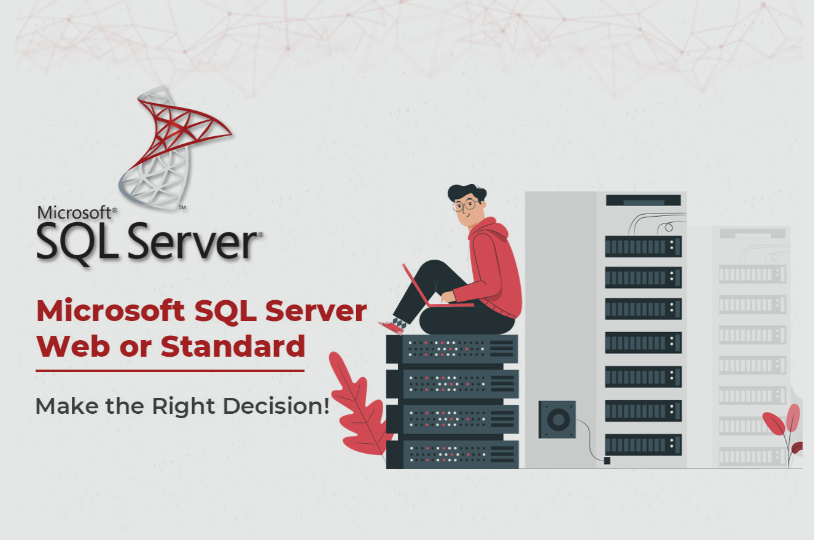 Microsoft SQL Server Web or Standard: Make The Right Decision! | by ...