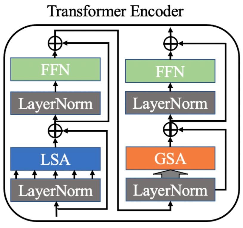 Schematic diagram of a modern Transformer Encoder architecture featuring dual Local Self-Attention (LSA) and Global Self-Attention (GSA) tracks.