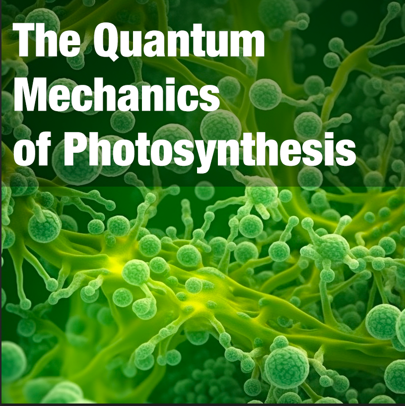 The Quantum Mechanics of Photosynthesis A Deep Dive into Nature’s