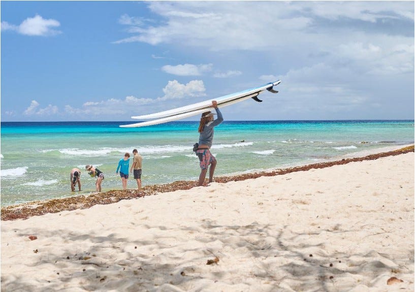 Confessions of a Total Newbie: Beginner Surf School in Barbados