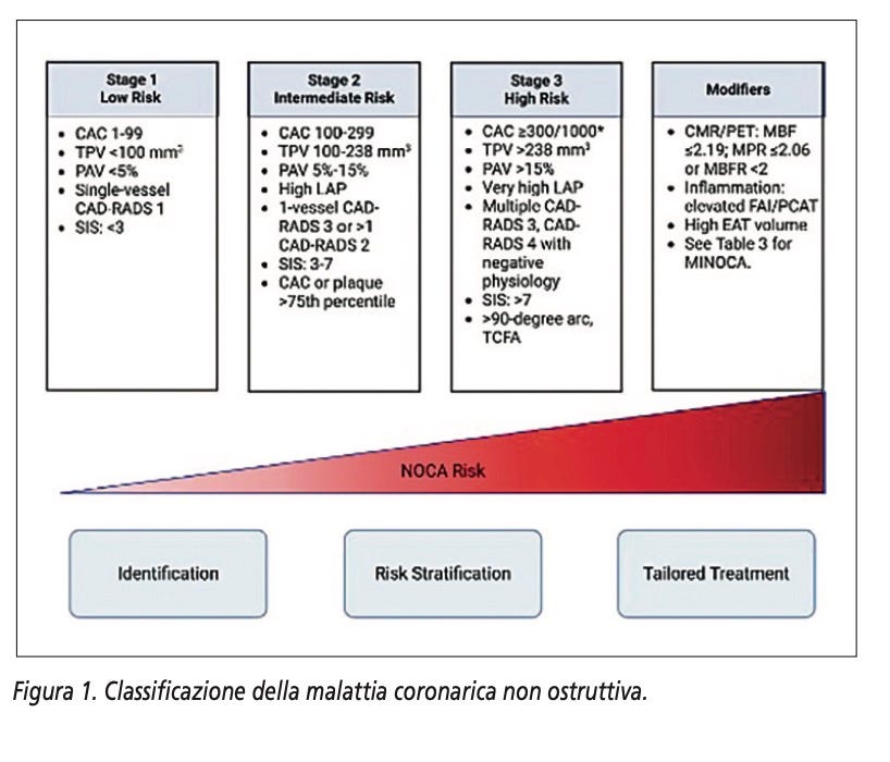 Malattia coronarica non ostruttiva (NOCA): Un nuovo approccio cardiologico basato sulla prevenzione…