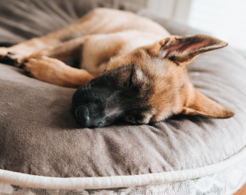It’s time to go to bed. How these techniques help you get to… | by
