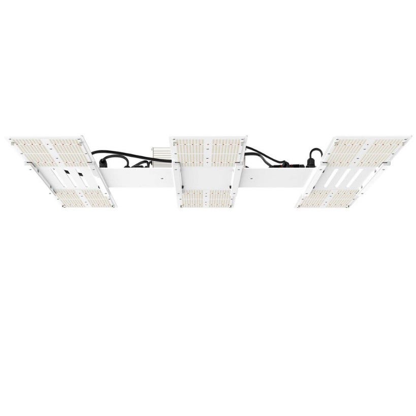 What makes quantum boards superior to LED grow lights? 2021 for