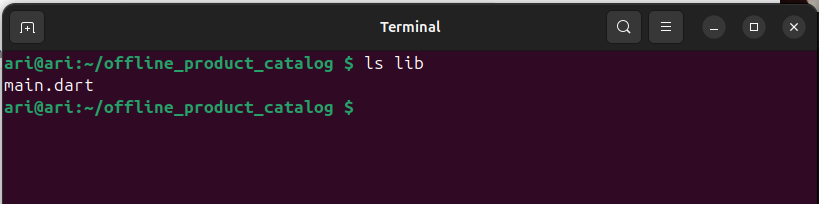 Screenshot: The terminal showing main.dart inside the lib folder.