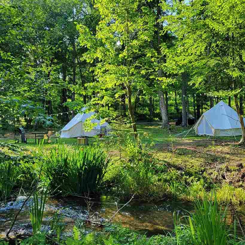 Camping, Glamping, or a Cabin?