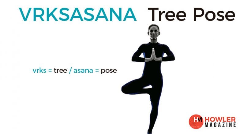 Yoga Tree Pose Blank Card - Think Greene