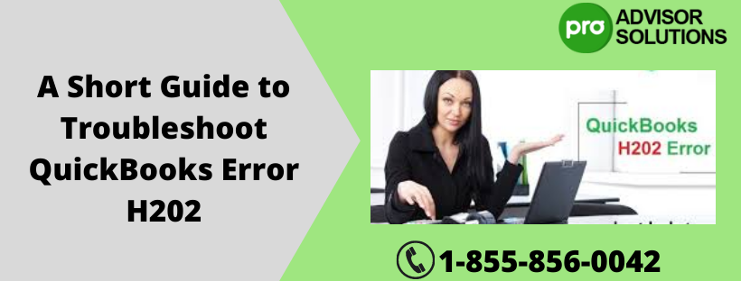 Best 2022 tutorial on fixes of QuickBooks error H202