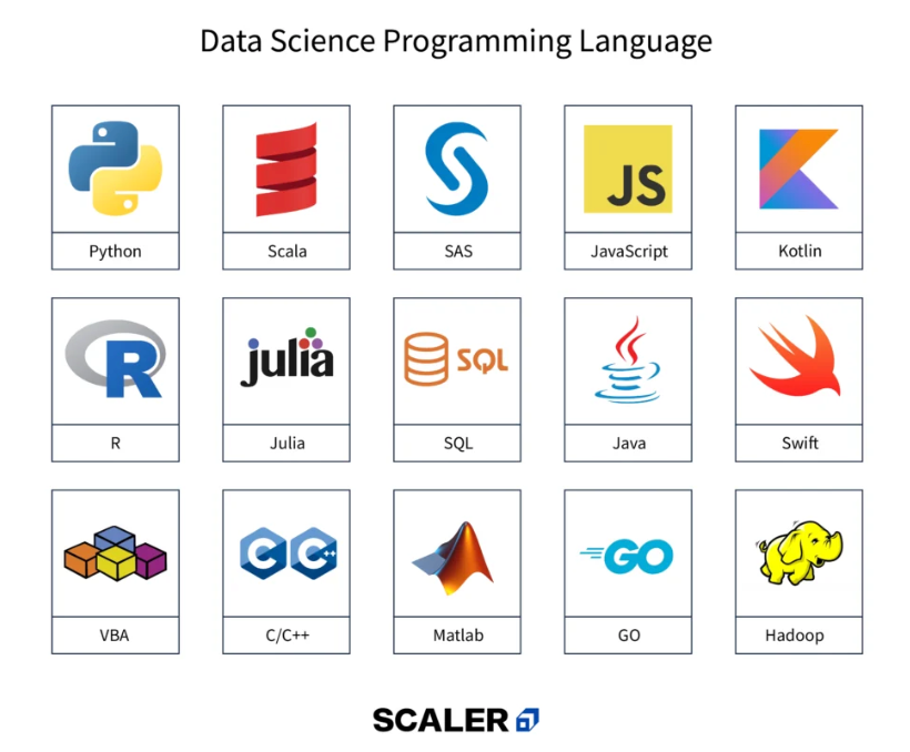 Programming Languages Every Data Enthusiast Should Learn | by Maureen M ...
