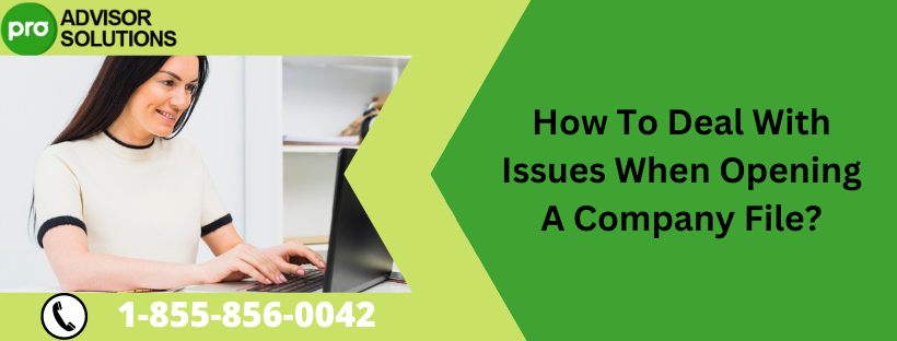 How To Deal With Issues When Opening A Company File? | by romanwilmar ...
